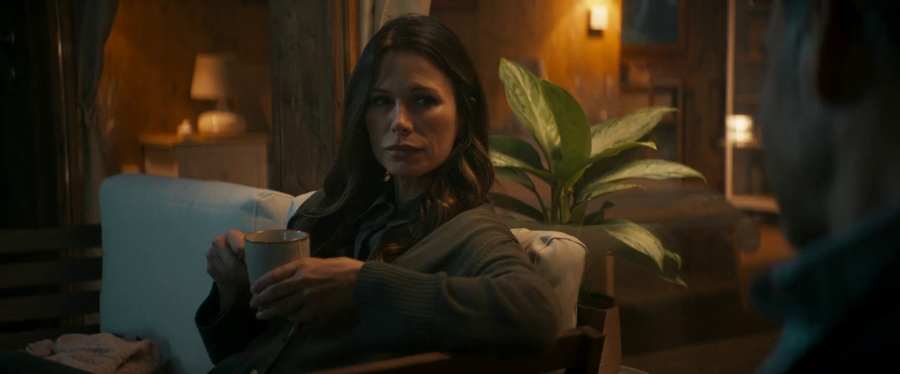 Shadow Land (2024) AMZN WEB-DL Hindi + English 720p x264 AVC HE-AAC 2.0 ESub.mkv.0003